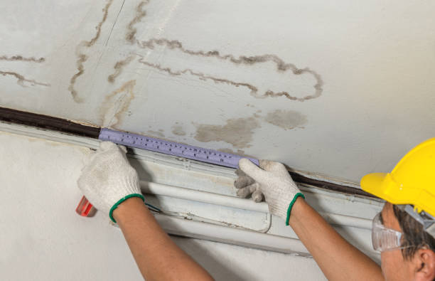 Reliable Water Extraction contractor in Lawrenceville, NJ by Water Damage Irwin